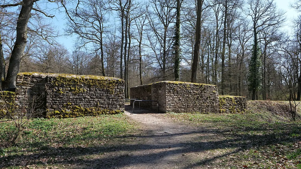 Ruine de ziduri joase de piatră ale unui castru roman, într-o pădure