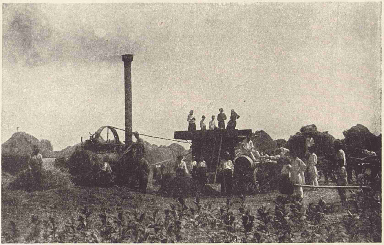 Treierat cu batoza la o arie de sat, fotografie din anii 1930