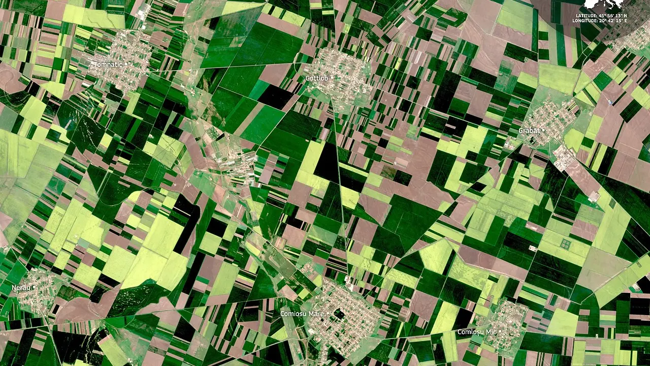 Imagine satelitara a Campiei Banatului cu parcele agricole de forme si culori diferite