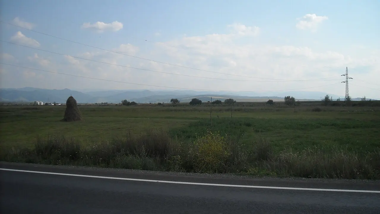 Câmpul Pâinii, șesul dintre Vinerea și Șibot, locul bătăliei din 1479