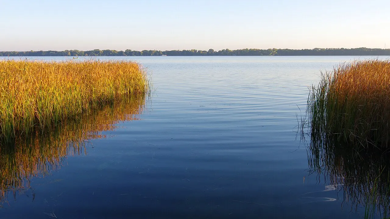 Lacul Arendsee văzut printre stuful de pe malul nordic