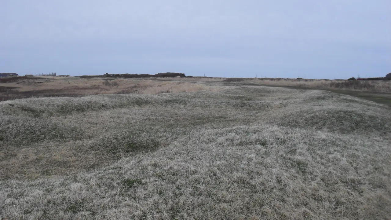 Vedere generală a rămășițelor unei construcții nordice la L'Anse aux Meadows, Newfoundland