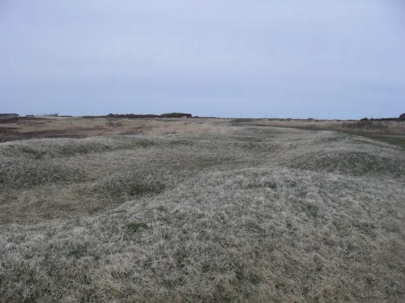 Vedere generală a rămășițelor unei construcții nordice la L'Anse aux Meadows, Newfoundland