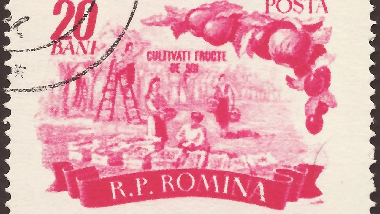 Marcă poștală românească din 1955, din seria Agricultura, cu o scenă de cules al fructelor