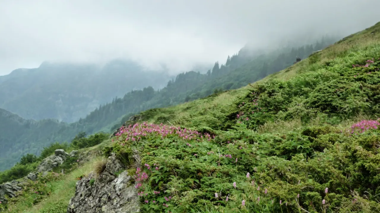 Creste și versanți împăduriți din Stara Planina, munții Balcani din Bulgaria centrală