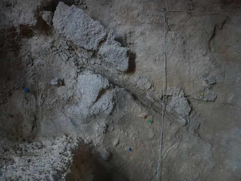Amprentă negativă de lemn păstrată în rocă, din nivelul R al sitului Abric Romaní