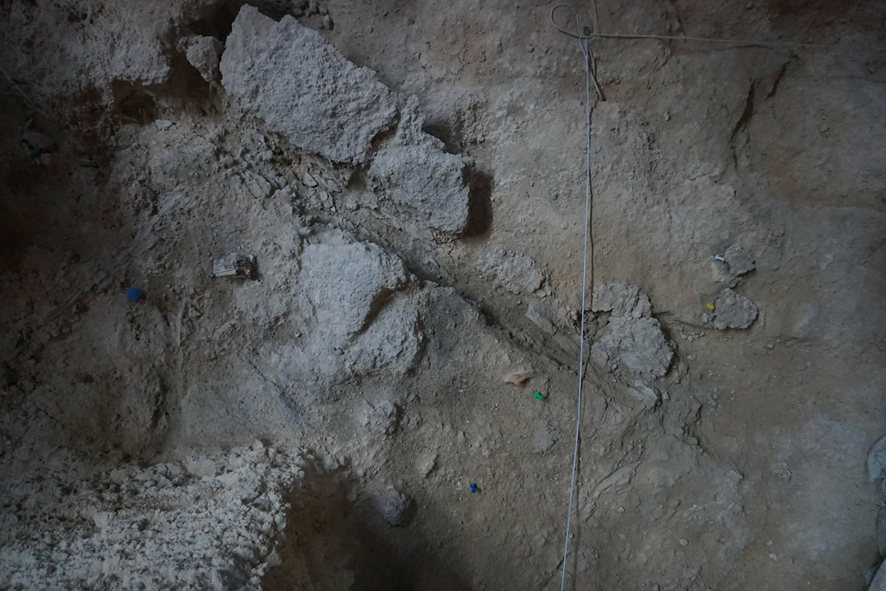 Amprentă negativă de lemn păstrată în rocă, din nivelul R al sitului Abric Romaní
