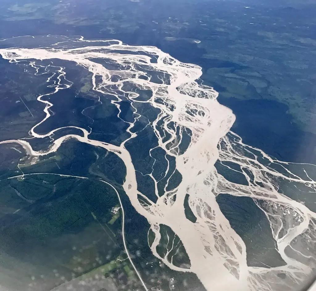 Vedere aeriană a râului Tanana, cu albii împletite și bancuri de nisip, în Alaska